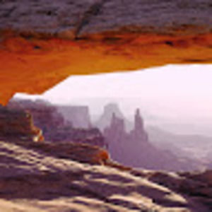 Meet your Posher, Dillon